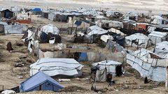 واشنطن ستعلن اليوم الانتقال إلى "المرحلة التالية" من خطة غزة