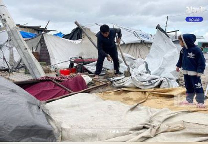 أوضاع قاسية جدا يعيشها النازحون في ميناء غزة غرب المدينة، بسبب المنخفض الجوي.