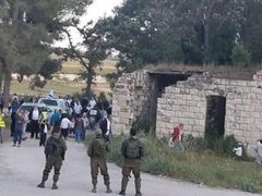 مستوطنون يهاجمون مزارعا في منطقة المسعودية شمال غرب نابلس