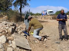 مستوطنون يصعدون اعتداءاتهم على المغير والاحتلال يعتقل متضامنين أجانب