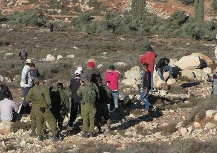 الاحتلال يعتقل 4 مواطنين عقب اعتداء المستوطنين عليهم جنوب الخليل