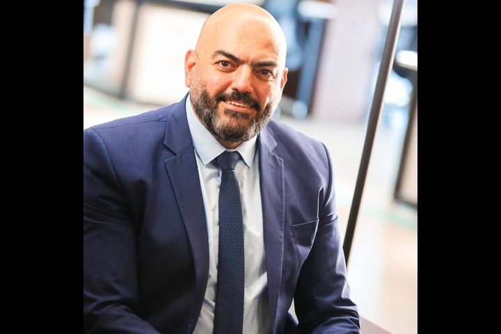 الأبقار كأداة ضم