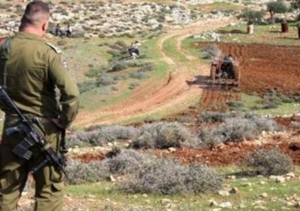 الاحتلال يصدر قرارا عسكريًا لإزالة أشجار في كفر مالك شرق رام الله