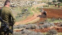 الاحتلال يصدر قرارا عسكريًا لإزالة أشجار في كفر مالك شرق رام الله