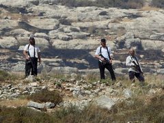 مستوطنون يهاجمون خربة المراجم جنوب نابلس