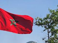 المغرب ينضم رسميا إلى "مجلس السلام" الأمريكي لإدارة غزة