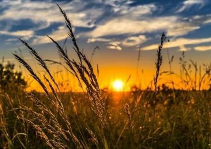 حالة الطقس: أجواء باردة وغائمة جزئيا