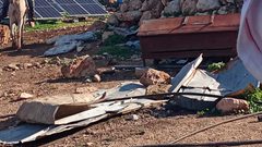 مستوطنون يعيقون عمل طواقم لجنة الانتخابات في تجمع يرزة شرق طوباس