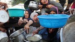 الأغذية العالمي: غزة على حافة الجوع رغم توسيع المساعدات