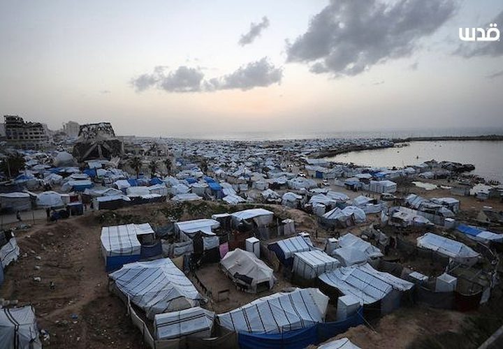 خيام النازحين تتكدس في ميناء غزة المدمر، في ظل ظروف معيشية قاسية بعد تدمير أكثر من 80% من البنية التحتية جراء الحرب الإسرائيلية على قطاع غزة، وفق الأمم المتحدة.