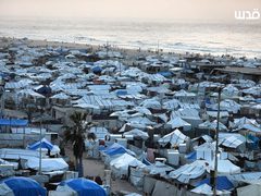 خيام النازحين تتكدس في ميناء غزة المدمر، في ظل ظروف معيشية قاسية بعد تدمير أكثر من 80% من البنية التحتية جراء الحرب الإسرائيلية على قطاع غزة، وفق الأمم المتحدة.