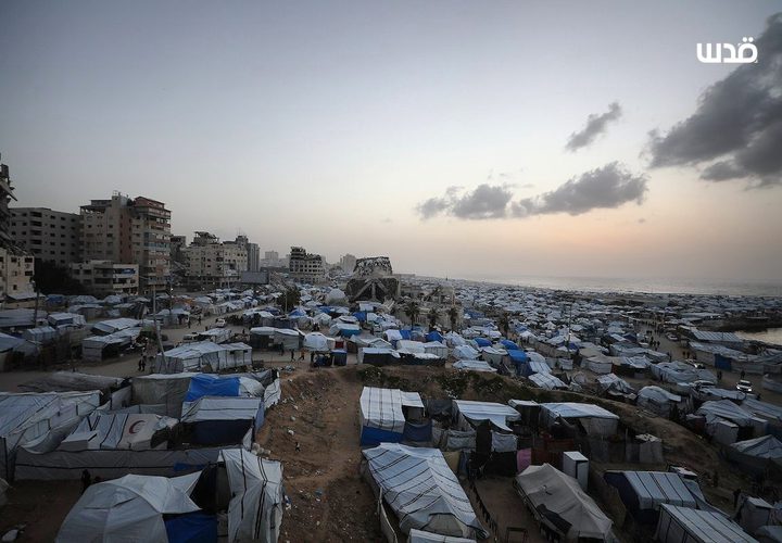 خيام النازحين تتكدس في ميناء غزة المدمر، في ظل ظروف معيشية قاسية بعد تدمير أكثر من 80% من البنية التحتية جراء الحرب الإسرائيلية على قطاع غزة، وفق الأمم المتحدة.