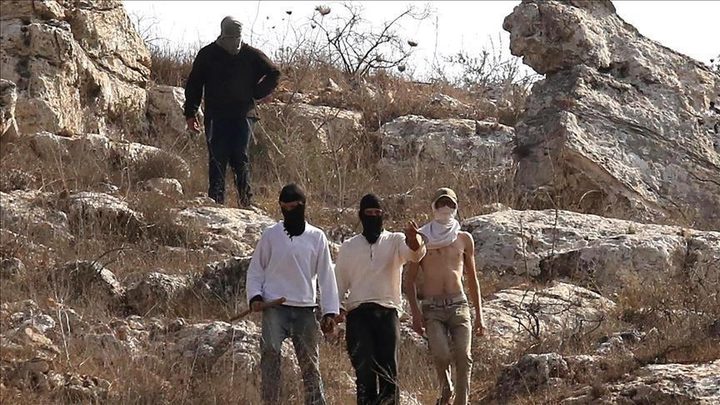 "أوتشا": مستوطنون هجروا 100 عائلة فلسطينية في الضفة خلال أسبوعين