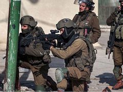 الاحتلال يعتقل 5 شبان شرق قلقيلية