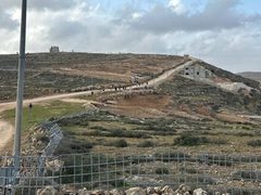 مستوطنون يهاجمون قصرة جنوب نابلس