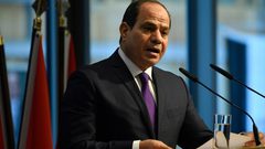 السيسي:لا لتهجير الفلسطينيين ونرفض أي ميليشيات أو كيانات موازية