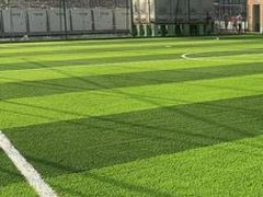 الاحتلال يمنع إدخال شحنة عشب اصطناعي مخصصة للملاعب الفلسطينية