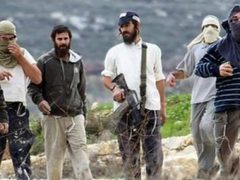 مستوطنون يهاجمون تجمع خلة السدرة والاحتلال يعلنه "منطقة عسكرية مغلقة"