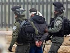 بتسيلم: سجون الاحتلال تحولت إلى شبكة معسكرات تعذيب 84 شهيدًا وقرابة 11 ألف أسير