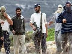 مستوطنون يطلقون النار صوب منازل المواطنين في قصرة