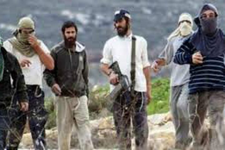 مستوطنون يطلقون النار صوب منازل المواطنين في قصرة جنوب نابلس