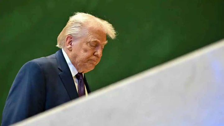 مينيسوتا وغرينلاند.. أسبوع «هزائم» يكشف حدود نفوذ ترامب