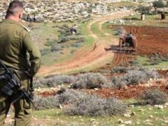 تجريف أراضٍ واقتلاع أشجار في كفر مالك شمال شرق رام الله