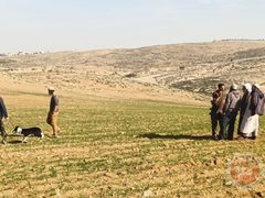 مستوطنون يهاجمون مواطنين في خربتي الفخيت والحلاوة بمسافر يطا