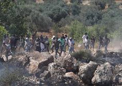 مستوطنون يضرمون النار في مساكن المواطنين بتجمع "خلة السدرة" البدوي