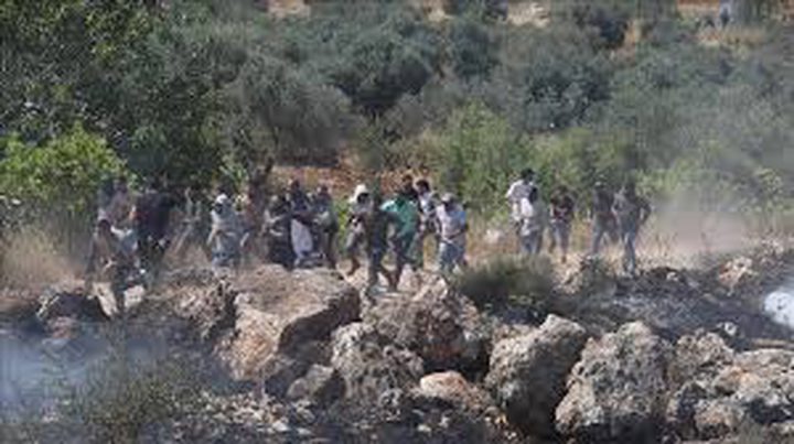 مستوطنون يضرمون النار في مساكن المواطنين بتجمع "خلة السدرة" البدوي