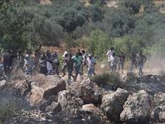 مستوطنون يضرمون النار في مساكن المواطنين بتجمع "خلة السدرة" البدوي