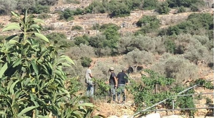 685 انتهاكًا احتلاليًا بحق البيئة والمصادر الطبيعية خلال العام 2025