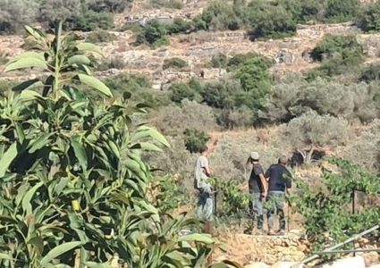 685 انتهاكًا احتلاليًا بحق البيئة والمصادر الطبيعية خلال العام 2025