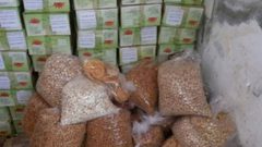 ضبط 50 طنا من الحبوب والمكسرات التالفة في محافظة الخليل