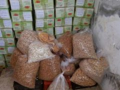 ضبط 50 طنا من الحبوب والمكسرات التالفة في محافظة الخليل