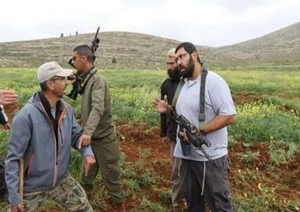 مستوطنون يتلفون 8 دونمات من حقول القمح والشعير في مسافر يطا