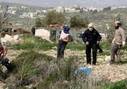 مستوطنون يهاجمون شابين في قرية يبرود شمال شرق رام الله