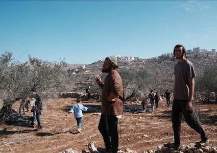 مستوطنون يتلفون محاصيل زراعية شمال غرب نابلس