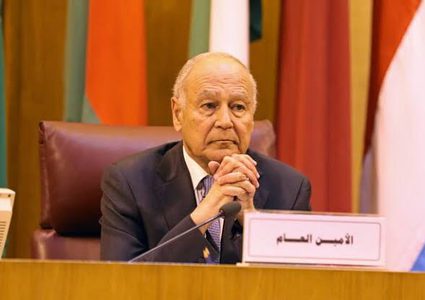 أبو الغيط: حل الدولتين هو العادل والوحيد للقضية الفلسطينية