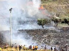 مستوطنون يحرقون أشجارا في بلدة ترمسعيا