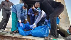 الاحتلال يسلم جثامين 54 شهيدا من قطاع غزة