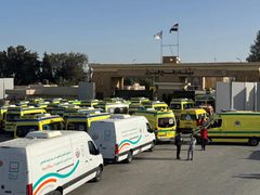 وصول 25 مسافرًا إلى قطاع غزة والدفعة الرابعة تغادر