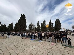 عشرات الآلاف يؤدون صلاة الجمعة في المسجد الأقصى المبارك رغم تشديدات الاحتلال