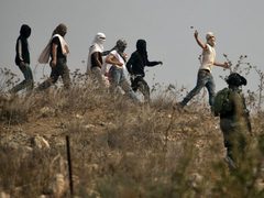 مستوطنون يقتحمون فصايل ويرعون أغنامهم بين منازل المواطنين