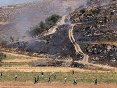 إصابتان في اعتداء للمستوطنين شرق رام الله