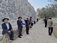 مستوطنون يقتحمون العين الفوقا في سلوان جنوب الأقصى