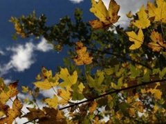 الطقس: أجواء غائمة جزئيا وباردة نسبيا