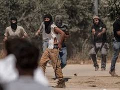 إصابة مُسنة في اعتداء للمستوطنين جنوب الخليل