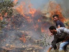 مستوطنون يحرقون خياما في منطقة الميتة بالأغوار الشمالية