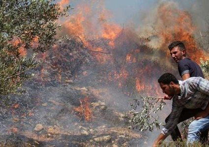 مستوطنون يحرقون خياما في منطقة الميتة بالأغوار الشمالية